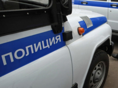 Молодая рецидивистка обнесла частный дом в Ростовской области