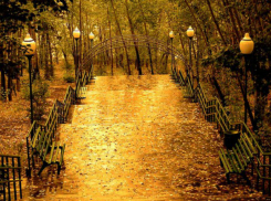 В последний день октября ростовчан немного порадует солнце, но разочарует ураганный ветер