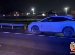 Под Ростовом под колёсами Lexus погиб пешеход, перелезавший через барьер