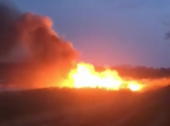 Ради эффектного селфи: ростовчане подожгли поле и назвали свои имена на видео