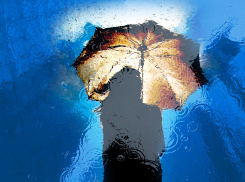 Дождь, гроза и шквалистый ветер ожидаются в Ростовской области