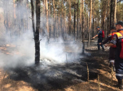 Площадь пожаров в Ростовской области выросла до 1200 га
