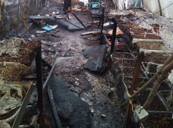 В Ростовской области сгорела крупнейшая в стране теплица с кактусами и суккулентами