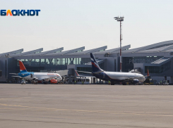 В Ростове осудили двух братьев за саранчу в салоне самолета