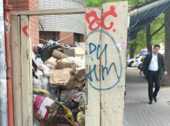 Тайную свалку с мертвыми крысами нашли за забором в центре Ростова