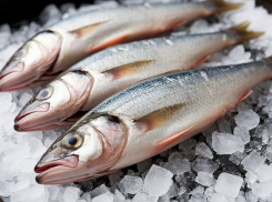В Ростовской области подорожала мороженая рыба