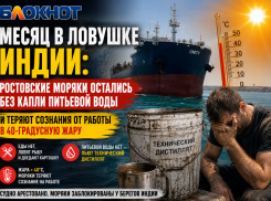 «Питьевой воды нет»: ростовские моряки теряют сознание в жару 40 градусов на заблокированном судне в Индии