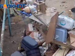 На владелицу приюта, где нашли трупы животных, возбудили дело 