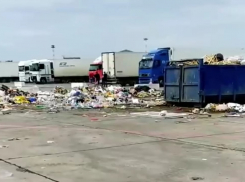 Территория старого аэропорта после переноса туда рынка превратилась в свалку