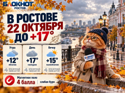 В Ростове 22 октября потеплеет до +17 градусов