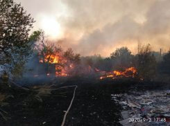 Площадь пожаров в Ростовской области выросла до 522 га