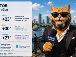 До +30 градусов и солнечно будет в Ростове 3 сентября
