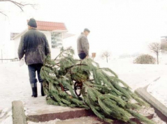 «Снимем украшения»: необычный зимний бизнес развернули жители Ростова
