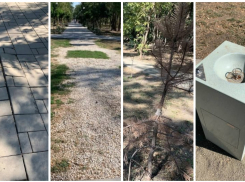 Худший парк Ростова предложили назвать именем сити-менеджера Логвиненко