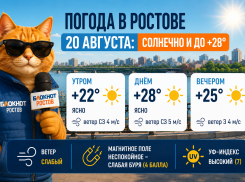 В Ростове-на-Дону 20 августа потеплеет до +28: синоптики обещают жаркий день