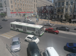 Количество поездок в общественном транспорте Ростова снизилось на 88%