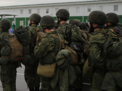 На Дону создали дополнительные мобильные группы для охраны региона