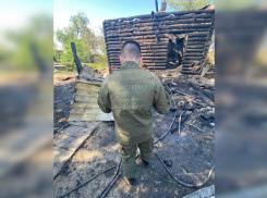 В Ростовской области возбудили уголовное дело после гибели в пожаре мамы и двоих детей 