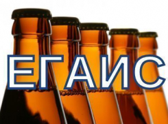 На ЕГАИС наложили полугодовой мораторий