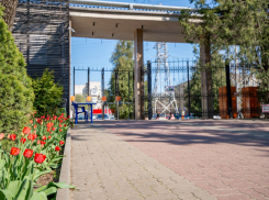 Ростовский зоопарк открыл пункт сбора помощи для зоосадов Донбасса