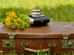 «Бегу такая, волосы назад»: сколько ростовчан готовы переехать в другой город ради работы