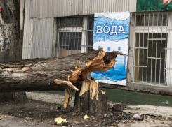 Мощный штормовой ветер спрогнозировали для жителей Ростова