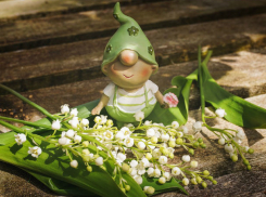 Тепло и солнечно: погода в Ростове на вторник, 21 мая 