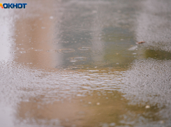 Конец января принесет в Ростов дожди