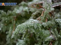 Штормовое предупреждение в Ростовской области: заморозки до -4°C