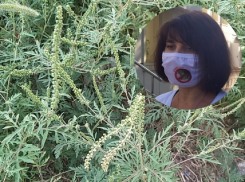 «Дальше будет хуже»: ростовчанам рассказали, как спастись от аллергии на амброзию