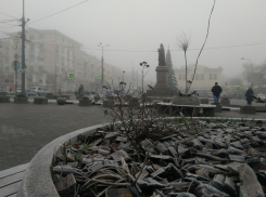 Ветер и дождь: рассказываем о погоде в Ростове в четверг, 20 февраля
