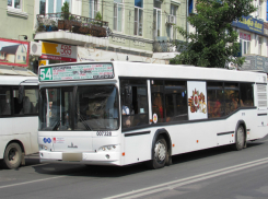 Злобный маршрутчик прищемил пятилетнего мальчика в дверях, ожидая платы за проезд в Ростове