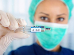 Ростовчанам еще раз напомнили о симптомах и мерах профилактики свиного гриппа 