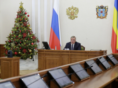 Губернаторская елка в Ростове пройдет в режиме онлайн из-за коронавируса
