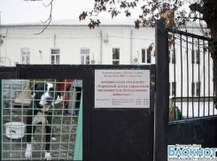В Ростове директор центра безнадзорных животных подозревается в растрате денег