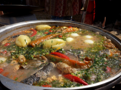 Во время праздника «Донская уха» гости попробуют блюда от ведущих шеф-поваров Ростовской области