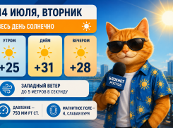 Ростовчан ждет жара до +31 и «слабая» магнитная буря