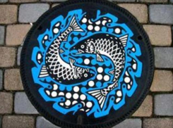 Ростовчанка предложила властям раскрасить люки к ЧМ 2018 