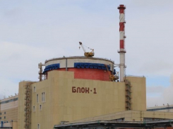 Учения по ликвидации нештатной ситуации решили провести на ростовской АЭС