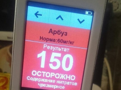 Опасные арбузы продают в ростовском «Магните»