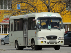 Беспрестанно курящий водитель автобуса выгонял недовольных пассажиров из салона в Ростове