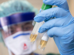 Число заболевших коронавирусом в Ростовской области увеличилось до 649