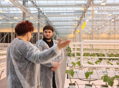 Первым заместителем главы Чукотки стал уроженец Ростовской области Рахим Исаев