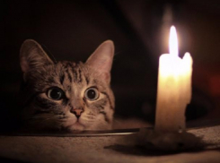 Перебои с электричеством ожидаются сегодня в Ростове