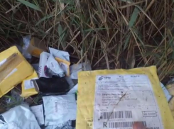 Свалку из недоехавших до получателей посылок обнаружил рыбак  в Ростовской области