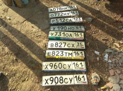 «Братскую могилу» украденных автономеров обнаружили в мусорном баке в Ростове