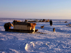 Серию преступлений против женщины, строителей и собаки совершил в тундре буйный житель Ростовской области