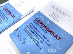 Доступ в рестораны и фитнес-клубы Ростовской области возможен без QR-кода