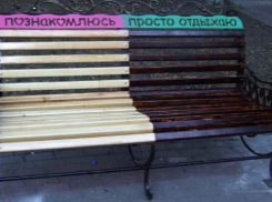 Яркие лавочки с «говорящими» надписями появились в Покровском сквере 