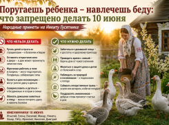 Поругаешь ребенка — навлечешь беду: что категорически запрещено делать 10 июня
